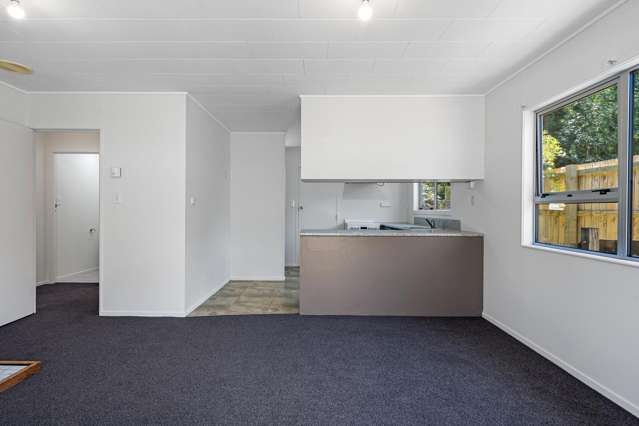 3/203 Nile Street Maitai_4