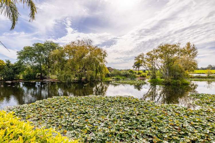 12 Cochrane Drive Kerikeri_7