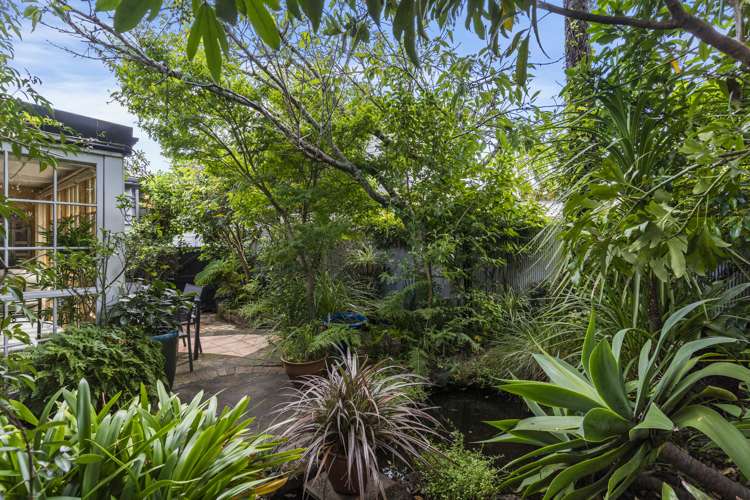 5 Ireland Street Freemans Bay_13