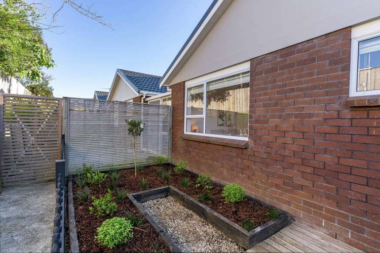 10/5 Gaynor Street Mount Roskill_12
