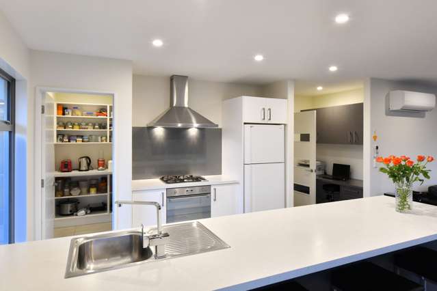 60 Rich Terrace Wigram_3