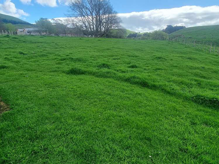 3345A Weber Road Dannevirke_17