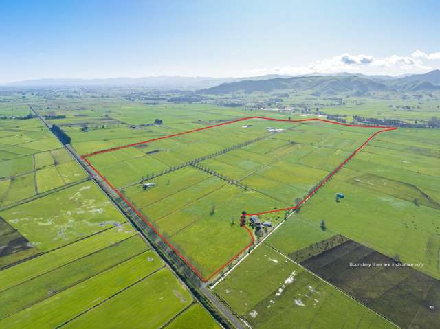 355 Endowment Road Te Aroha_1