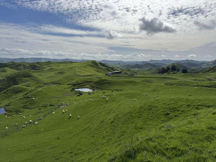 268a Tiriraukawa Road Taihape_1