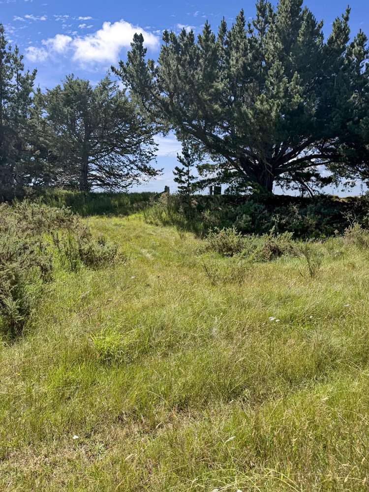 59 Rands Road Fernside_31