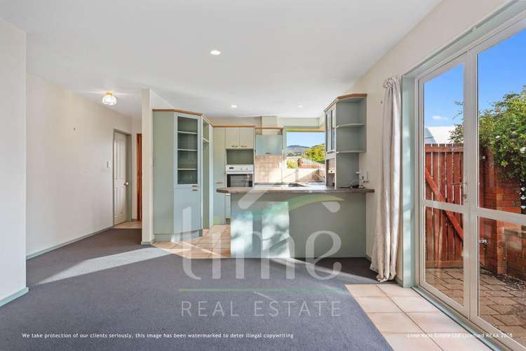 23 Somerfield Street Cashmere_2