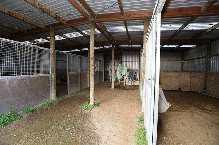 225 Limmer Road Te Kowhai_22