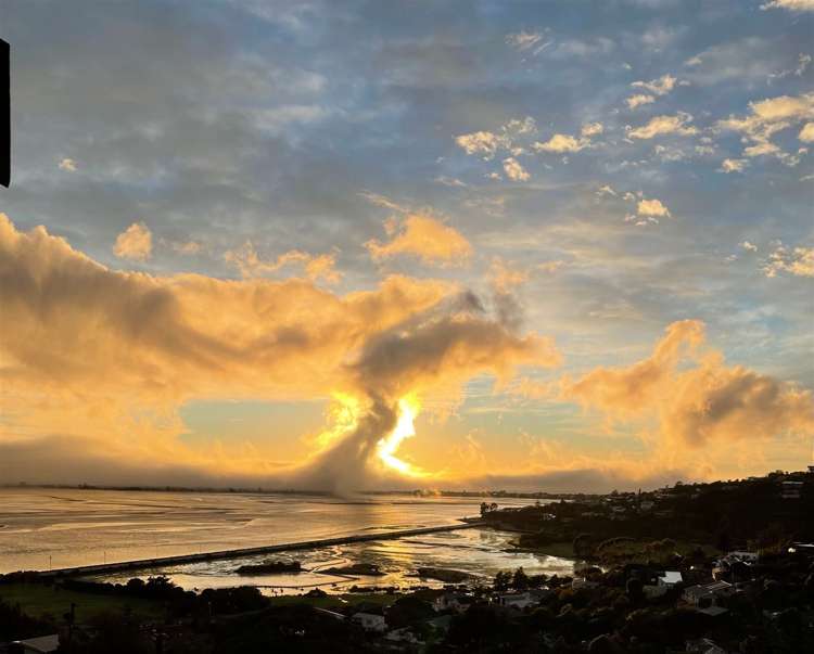 64 Mount Pleasant Road Mount Pleasant_25