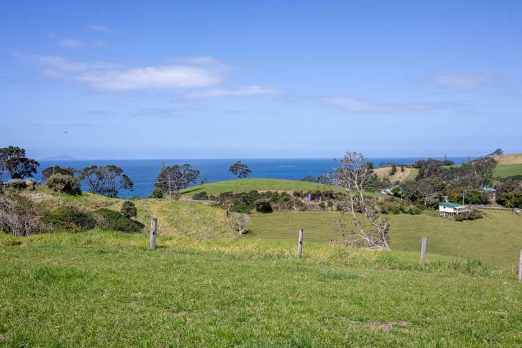 Lot 1 Rockell Road Whananaki_26