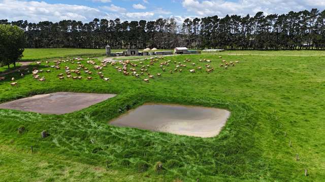 374 Rakauwahia Road Taheke_4