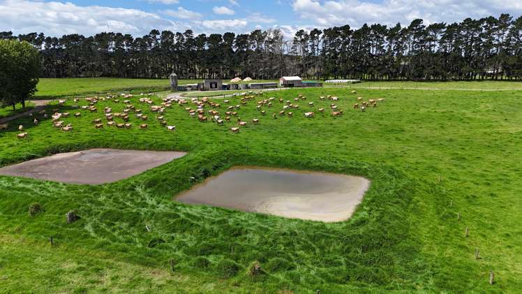 374 Rakauwahia Road Taheke_4