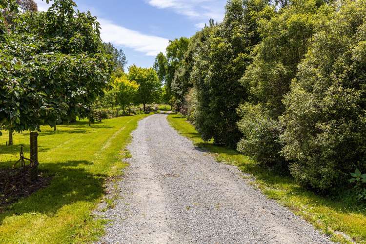 32 Woodbury Road Geraldine_21