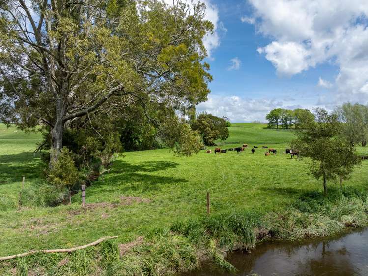 Lot 3/517 State Highway 1 Tirau_13