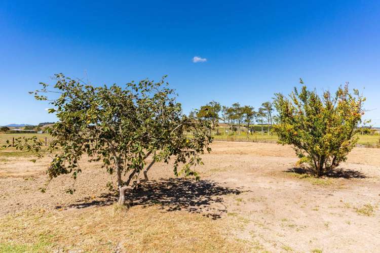 6838 State Highway 12 Dargaville_12