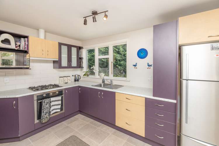 12 Homebush Road Glentunnel_18