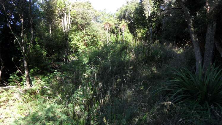 1 Traill Road Stewart Island/Rakiura_9