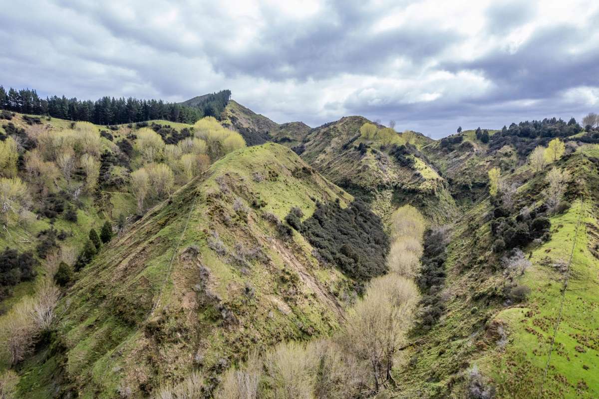 1471 Mangamahu Road_3