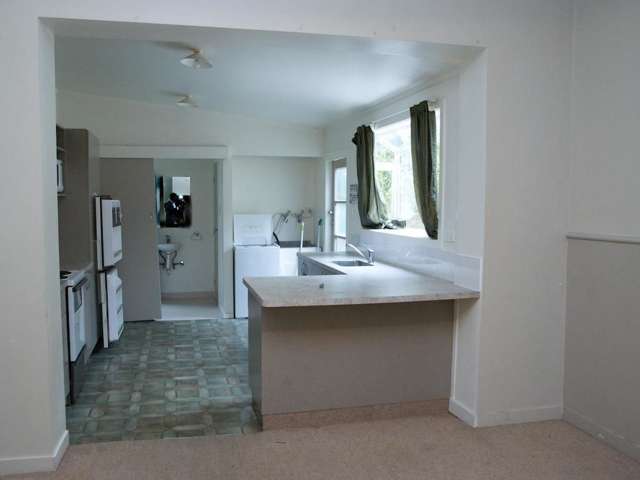 21 Serpentine Avenue Dunedin Central_1