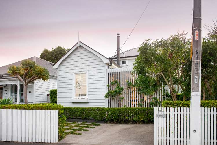 97 John Street Ponsonby_13