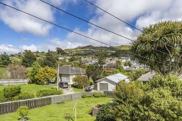 62 Bould Street Johnsonville_3