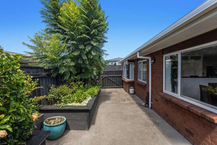 72A Victoria Avenue Whakatane_15