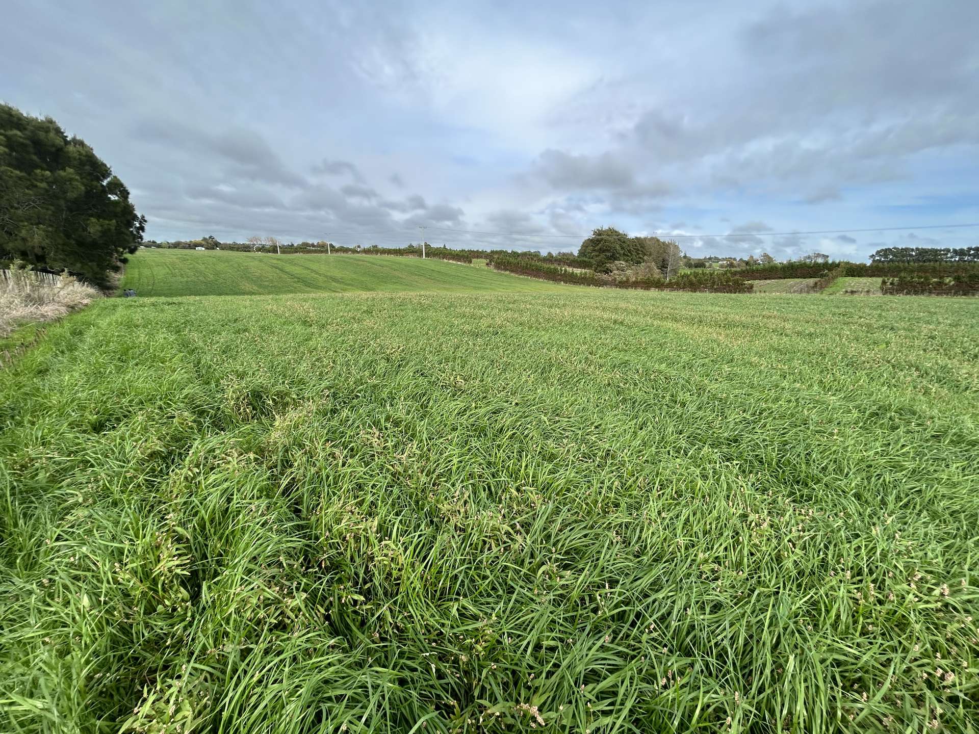 Matarikoriko Road Waitara_0