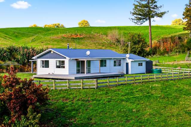 Classic Kiwi Lifestyle in Reporoa