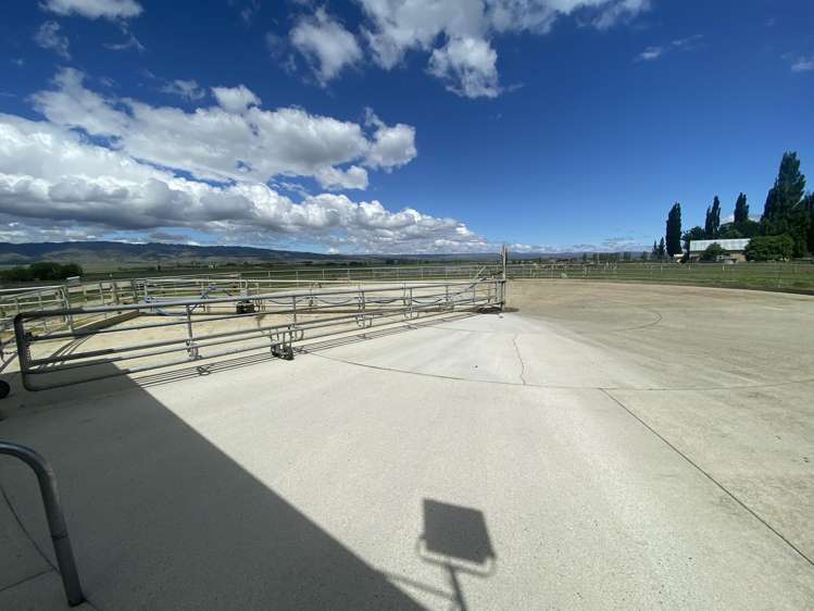 224 Auripo Road Poolburn_16