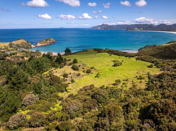 Lot 2, 346 Gray Road Great Barrier Island_7
