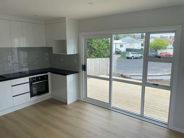 16 Cleghorn Avenue Mount Roskill_3