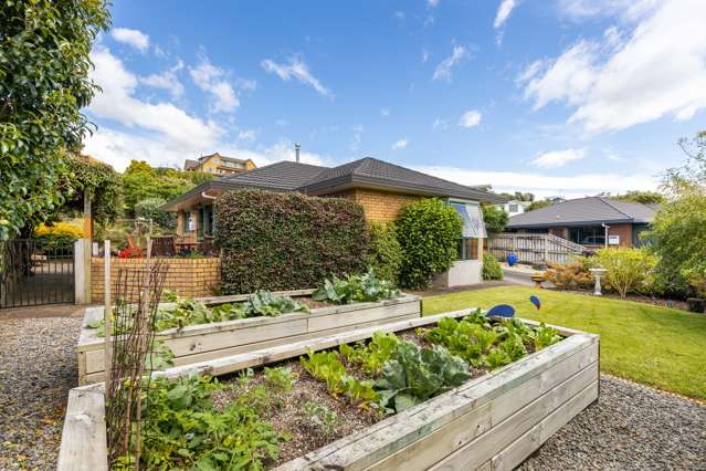 22 Ashmore Drive Frankleigh Park_4