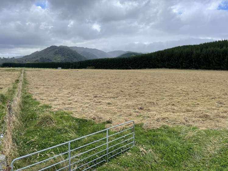 925 Main South Road Rangiwahia_17