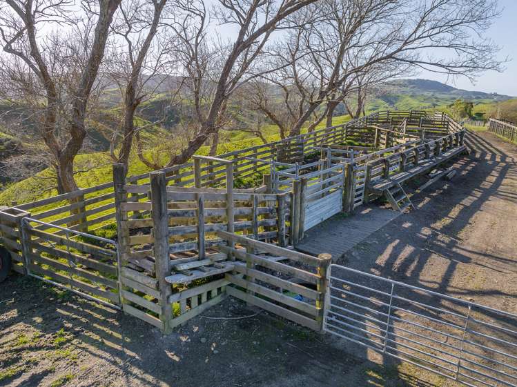 420 Ponganui Road Onewhero_20