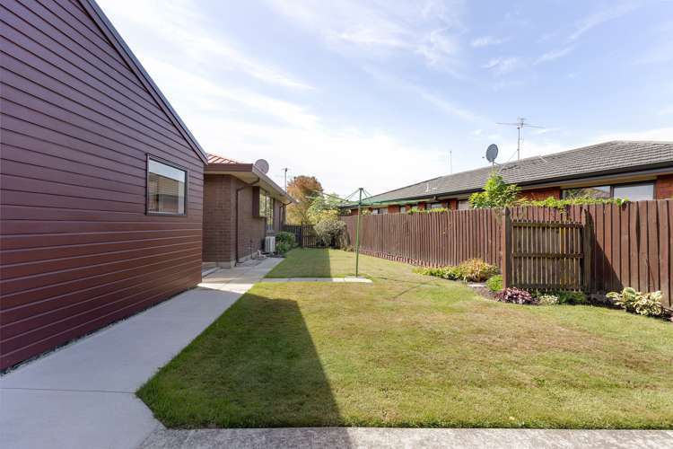 8 Lowry Avenue Redwood_13