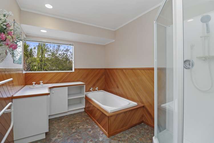 22 Deanna Avenue Morrinsville_14