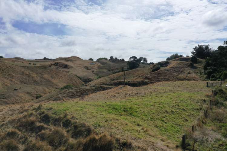 1017 Waingaro Road Glen Massey_12