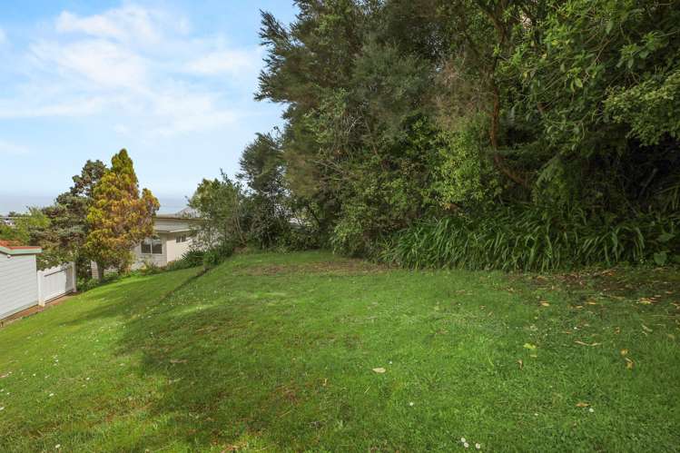 29 Trotter Avenue Waiomu_13