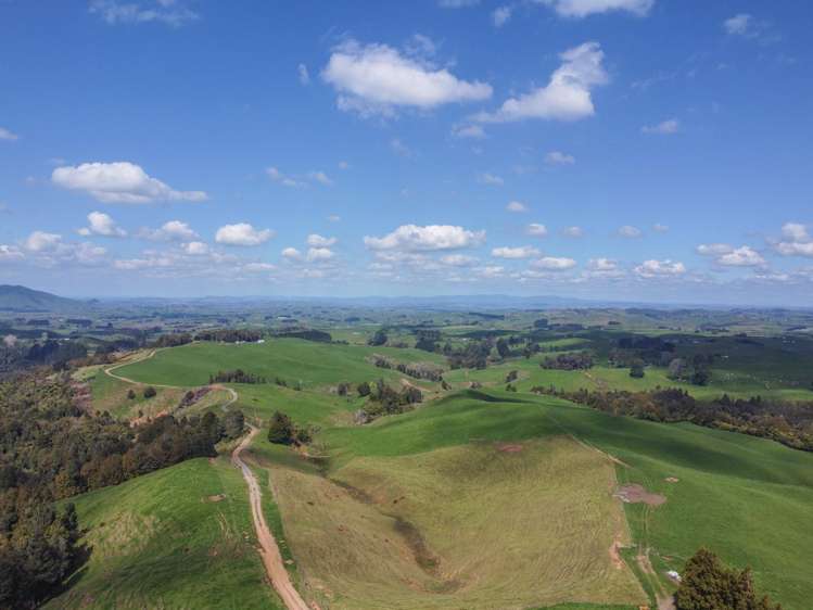 870 Mangati Road Pirongia_41
