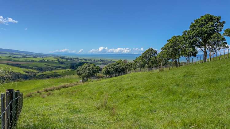 457c Findlay Road Miranda_15