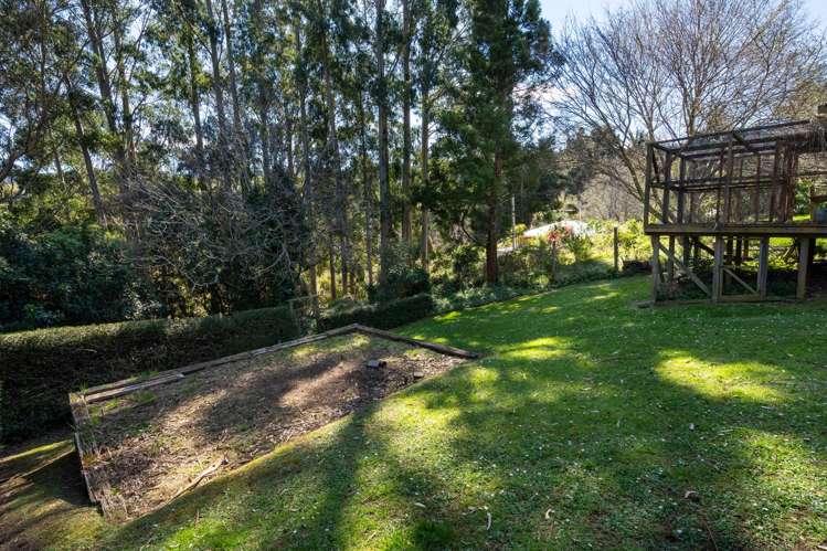 411 Pine Hill Road Pine Hill_23
