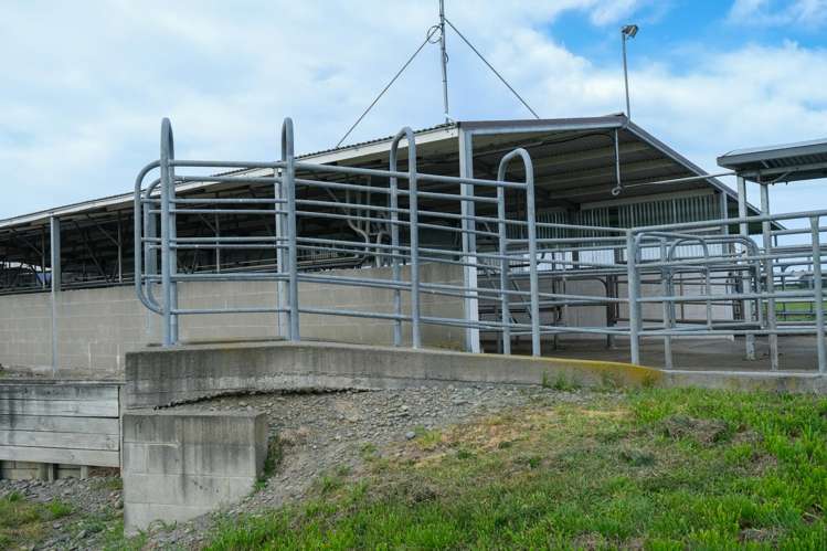 38 Williams Road Eiffelton_7