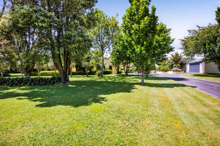 76 Wills Road Bell Block_52