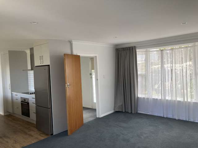 7 Cobham Street Levin_3