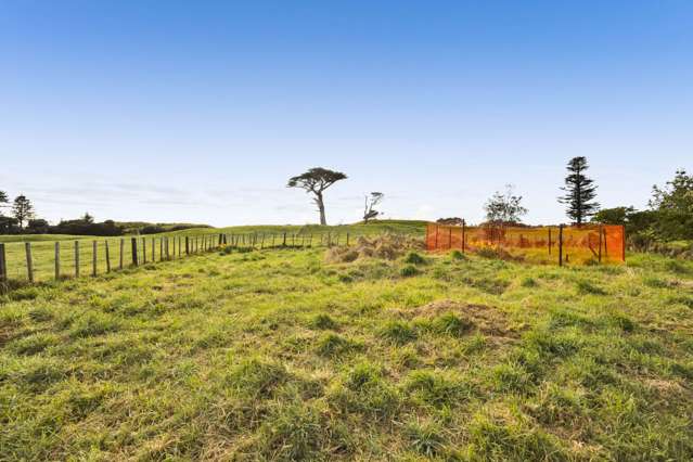 12 Edinburgh Street Patea_3