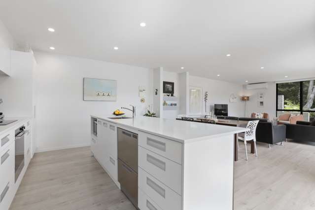 102 Balmain Road Chatswood_3