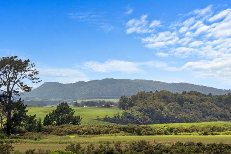 882 State Highway 5 Tapapa_6