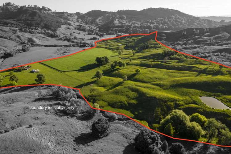 749 Kanakanaia Road Te Karaka_1