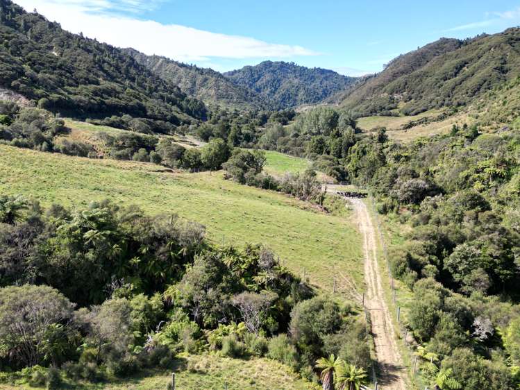 2109 Okau Road Ahititi_38