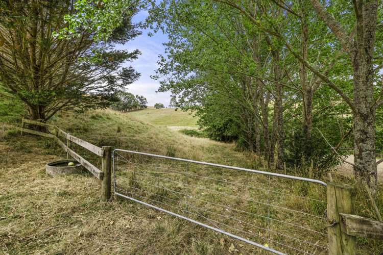 1007 Old Mountain Road Raglan_25