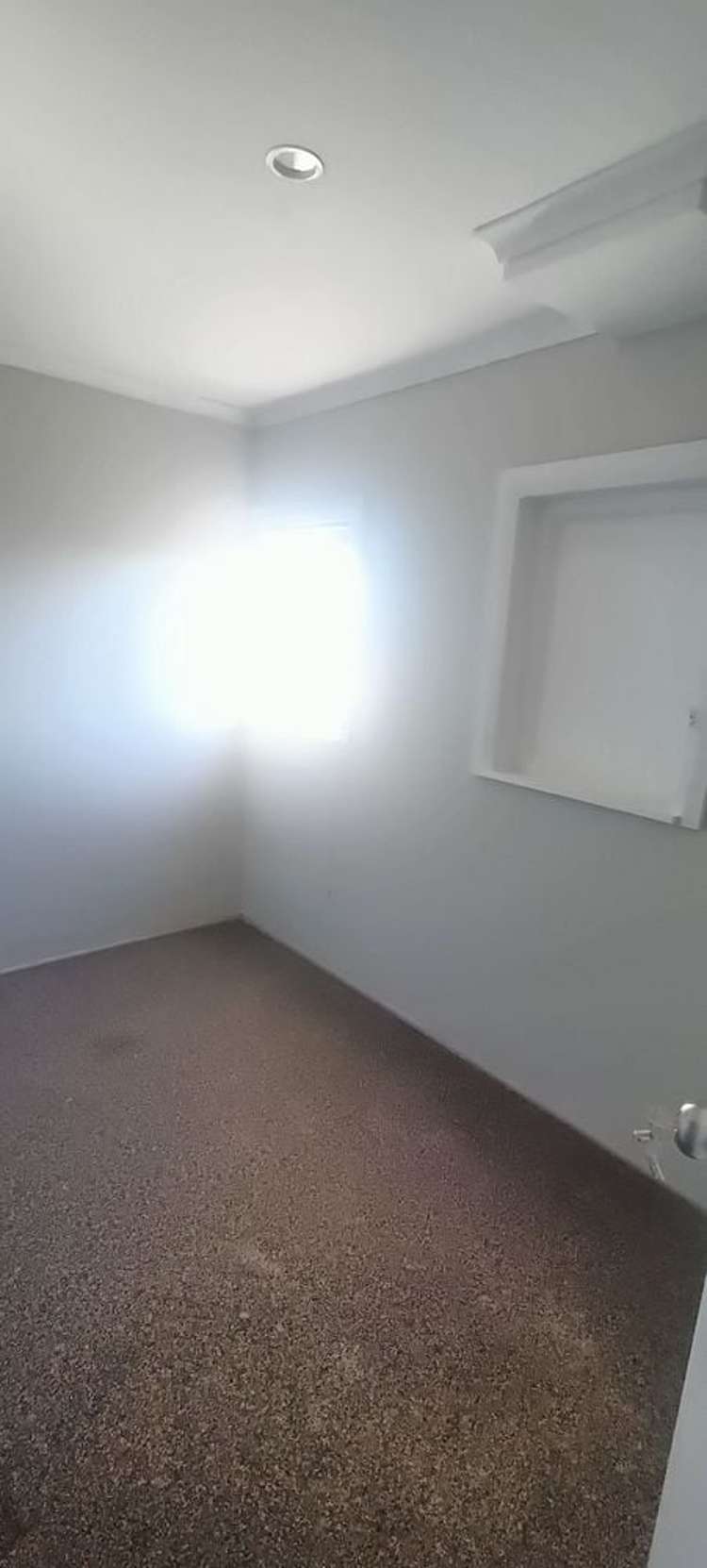 120 Nicholson Road Khandallah_9